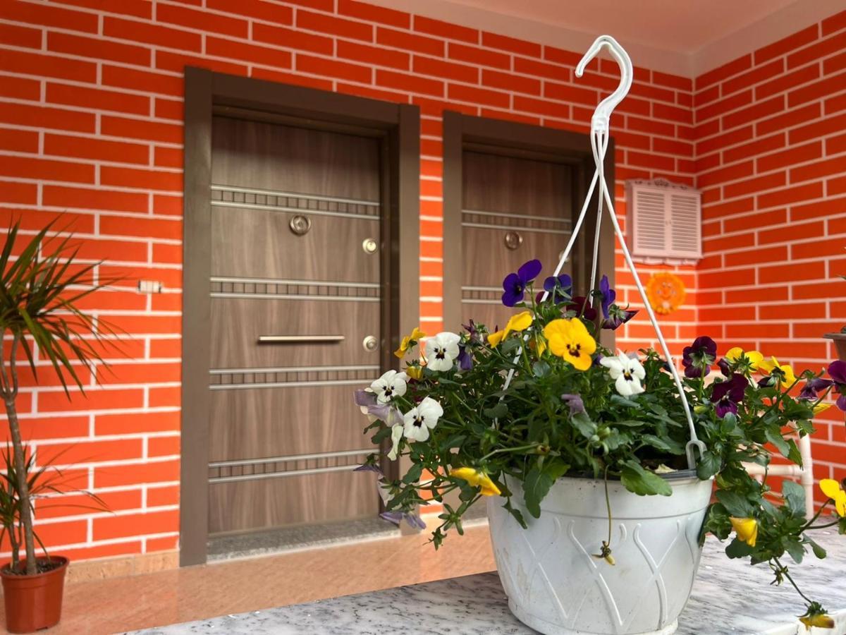 Chestnut Yard Villa Tirana Exterior foto